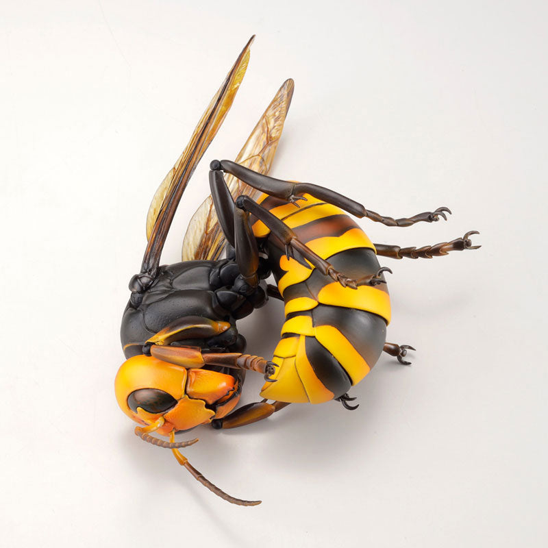 Oosuzumebachi (Japanese Giant Hornet) - REVOGEO