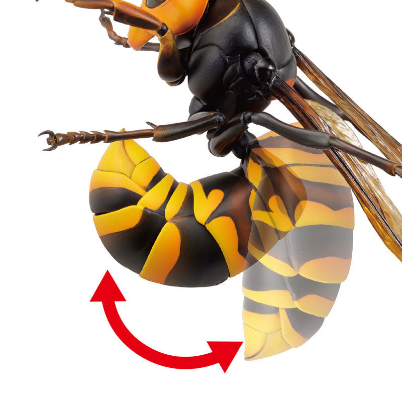 Oosuzumebachi (Japanese Giant Hornet) - REVOGEO