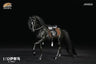 1/12 Iri Horse A