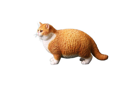1/6 Fat Cat A