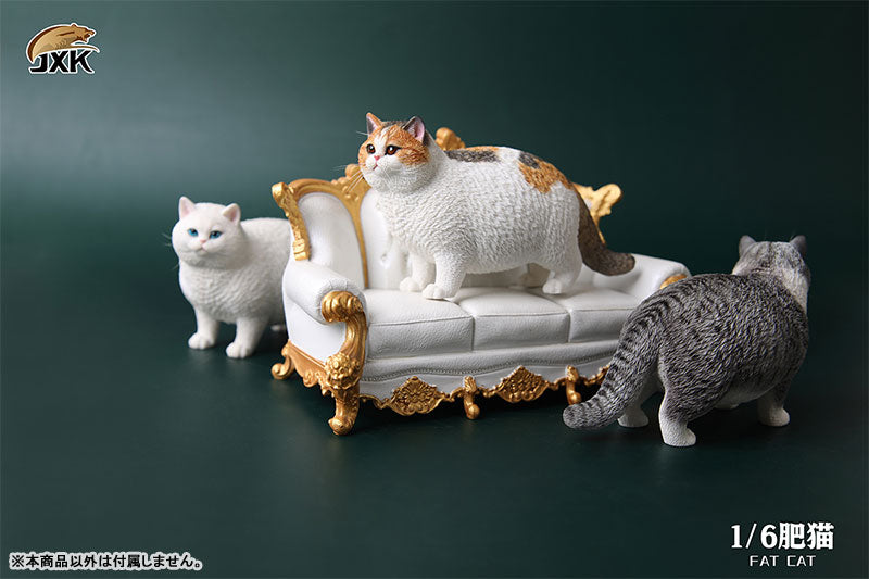 1/6 Fat Cat B