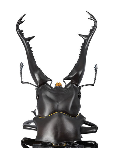 REVOGEO - Giraffe Stag Beetle (Kaiyodo)