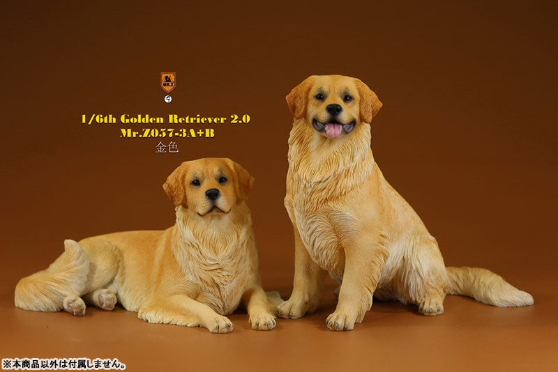 1/6 Golden Retriever 2.0 Statue 3A