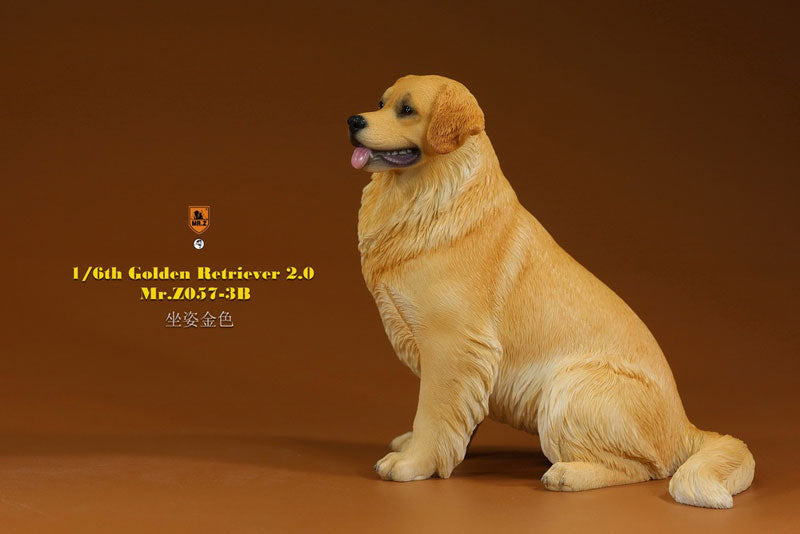 1/6 Golden Retriever 2.0 Statue 3B