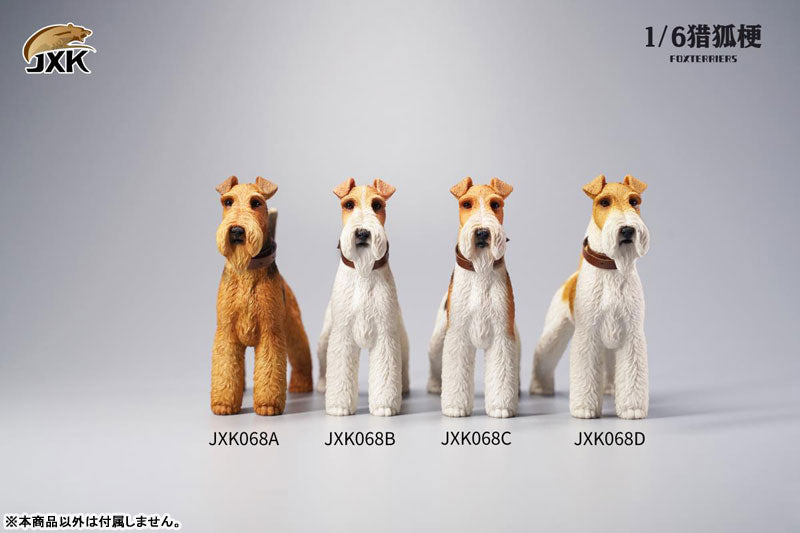 1/6 Fox Terrier C