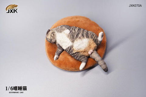 1/6 Cat which Indulge in a Nap A
