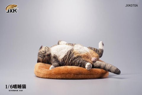 1/6 Cat which Indulge in a Nap A