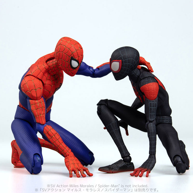 Peter Parker - Spider-Man: Into the Spider-Verse