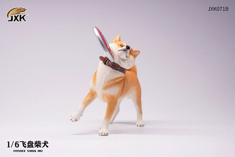 1/6 Shiba-Inu Frisbee B