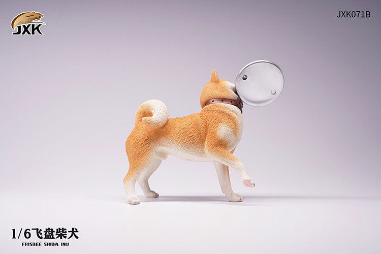 1/6 Shiba-Inu Frisbee B