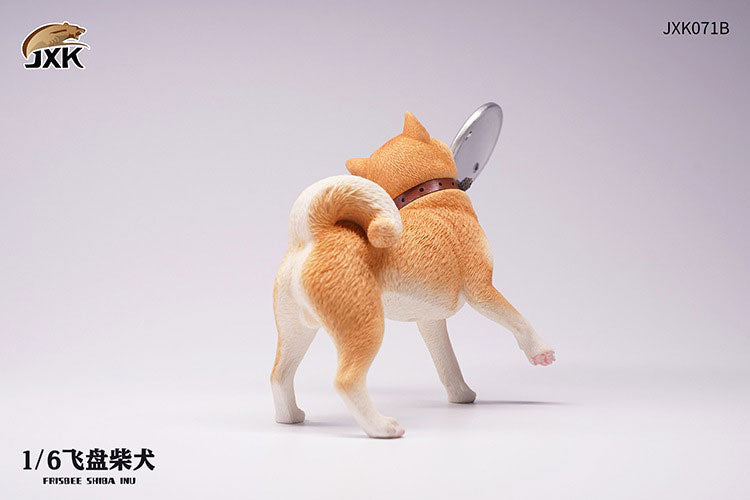 1/6 Shiba-Inu Frisbee B