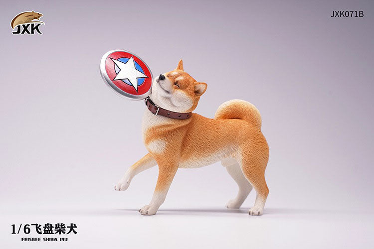 1/6 Shiba-Inu Frisbee B