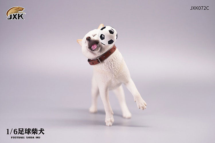 1/6 Shiba-Inu Soccer Ball C