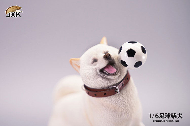 1/6 Shiba-Inu Soccer Ball C