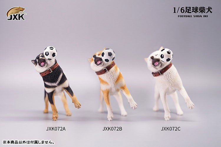 1/6 Shiba-Inu Soccer Ball C