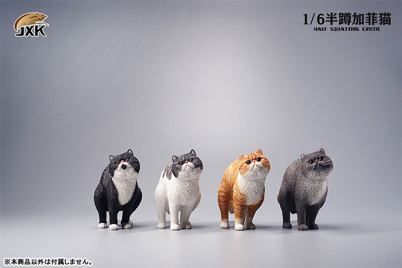 1/6 Exotic Shorthair Cat Half Squat C - Solaris Japan