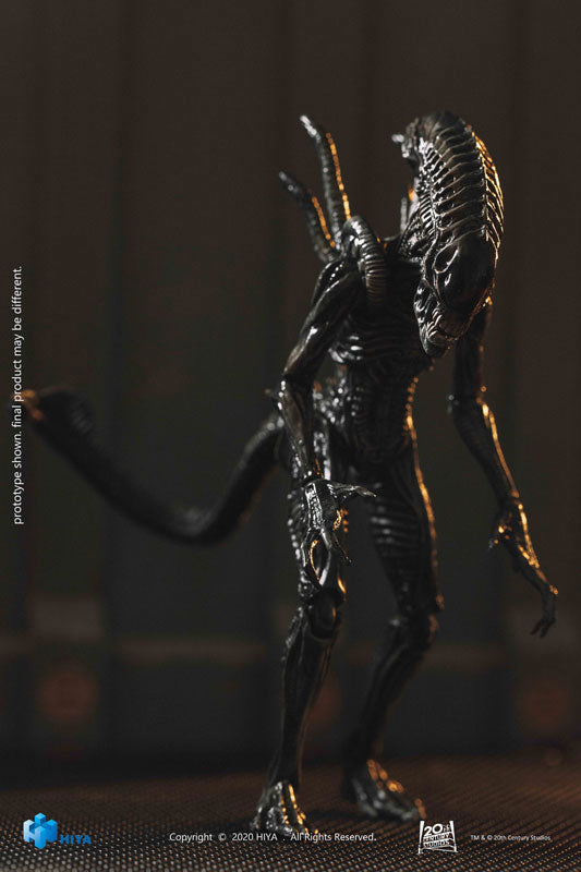 AVP2 1/18 Action Figure Zeno Warrior