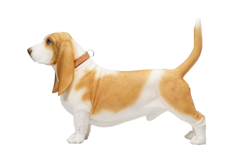 1/6 Basset Hound A