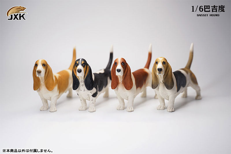 1/6 Basset Hound A