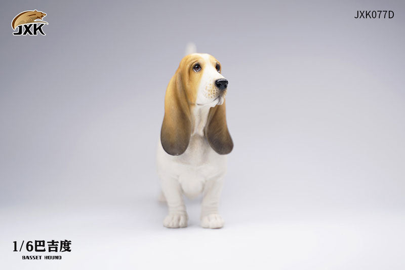 1/6 Basset Hound D