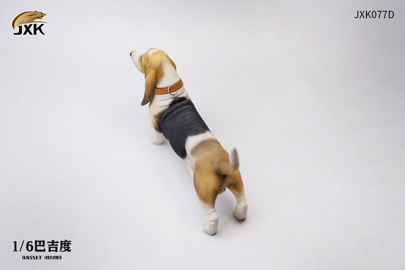 1/6 Basset Hound D