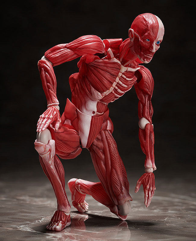 Figma #SP-142 - The Table Museum - Human Body Model (FREEing)