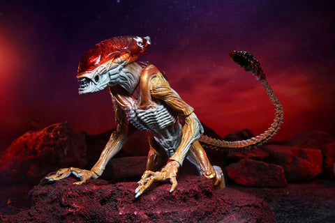 Alien / 7 Inch Action Figure Series Kenner Tribute: Panther Alien