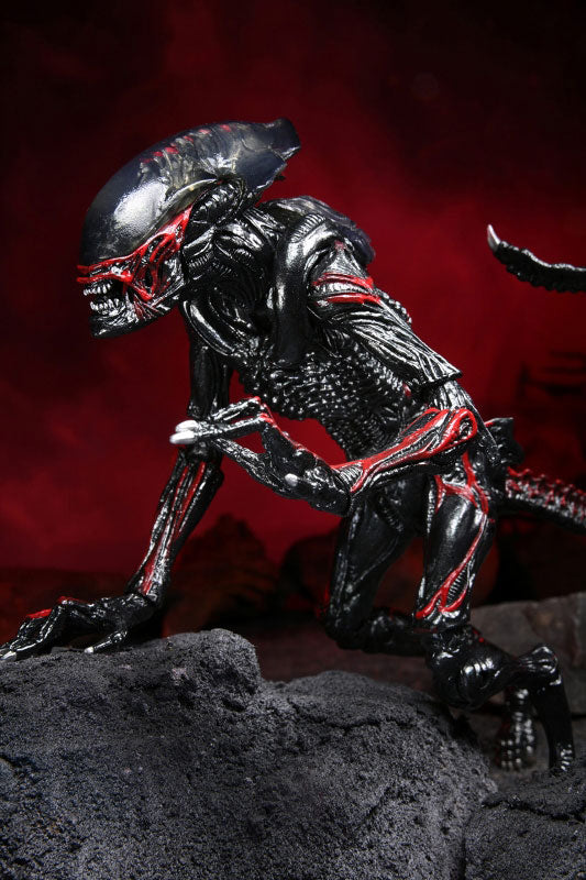 Alien / 7 Inch Action Figure Series Kenner Tribute: Night Cougar