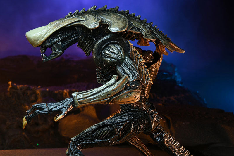 Alien VS Predator / 7 Inch Action Figure Alien Series Movie Decoration: Set of 3Types
