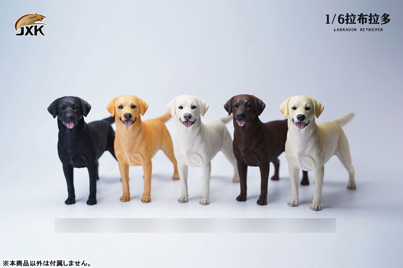 1/6 Labrador C