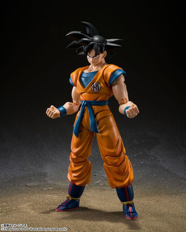 Son Goku - Dragon Ball Super