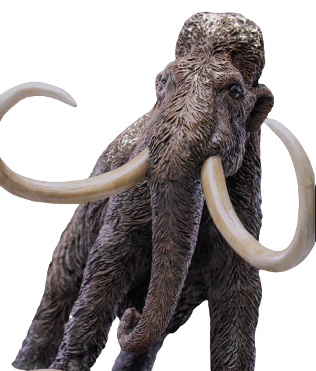 Wonders of the Wild Series - Woolly Mammoth (Star Ace Toys)