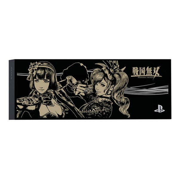 Sengoku Musou - Gracia & Naotora PS4 Coverplate Black